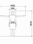 Image result for Average Human Size Dimensions