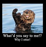 Image result for Otter Work Memes