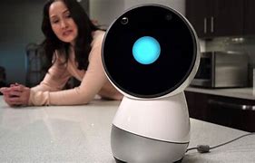 Image result for Household Robot Assistant