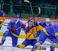 Image result for Ukraine Men's National Ice Hockey Team