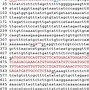 Image result for Exon Gene