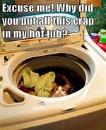 Image result for Washing My Cat Meme