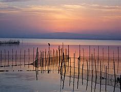 Image result for albufera