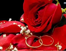 Image result for Wedding Rose Background