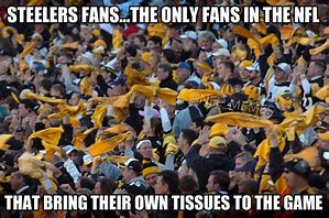 Image result for Steelers Beat Patriots Meme