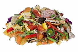 Image result for Rotten Food