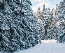 Image result for snow