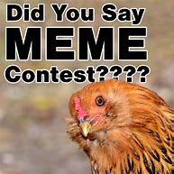 Image result for Contest Meme