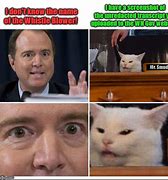 Image result for Arguing Cat Meme