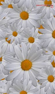 Image result for Flowers Wallpaper for Kindle Fire Tablet