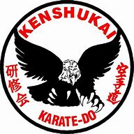 Image result for Karate Server Logo