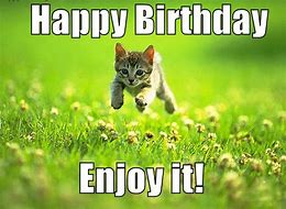 Image result for Funny Happy Birthday 20