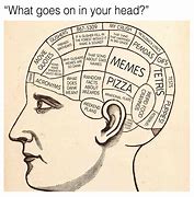 Image result for Head Brain Meme