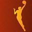 Image result for WNBA Basketball
