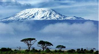 Image result for kilimanjaro