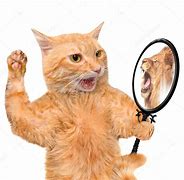 Image result for Kitten Lion Reflection