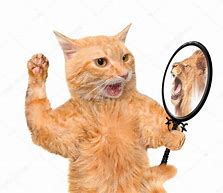 Image result for A Cat Reflecting Lion