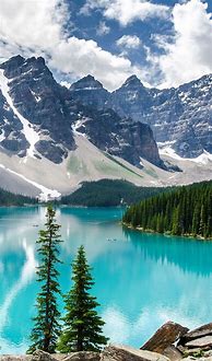 Image result for Nature iPhone 6 Plus Wallpaper