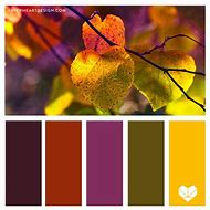 Image result for iPhone 6s Colors Commercial