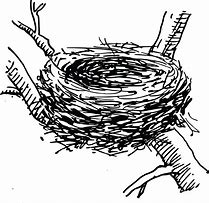 Image result for Printable Bird Nest Coloring Pages