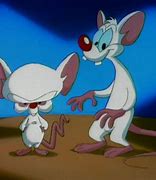 Image result for Animaniacs Pinky and Brain
