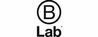 Image result for B Lab Logo
