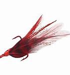Image result for Treble Hooks with Feathers