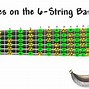 Image result for 6 String Bass vs Guitar