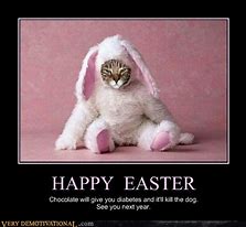 Image result for Easter Animal Meme