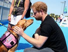 Image result for Prince Harry Party Animal Book