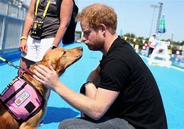 Image result for Prince Harry Party Animal