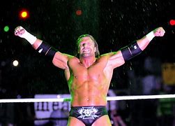 Image result for WWE Superstar Triple H