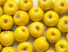 Image result for National Opal Apple Day