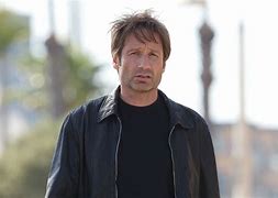 Image result for David Duchovny TV Series
