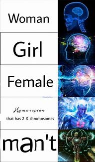 Image result for Girl Brain Meme