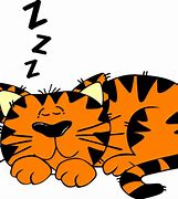 Image result for Sleeping Z Cartoon