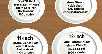 Image result for 26 Cm Plate with Person for Scale