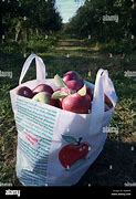 Image result for Old Bag of Apple's