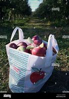 Image result for Half Peck of Apple's