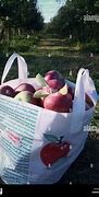 Image result for Dreaming of a Bag Apple's