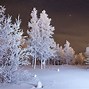 Image result for Winter Desktop Wallpaper 4K