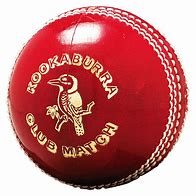 Image result for Kukabura Ball Cricket