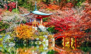 Image result for Kyoto Parks City