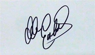 Image result for Dale Earnhardt Sr Signature