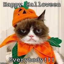 Image result for Best Grumpy Cat Memes Halloween