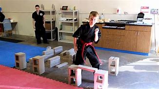 Image result for Martial Artist Breaking Bricks