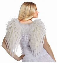 Image result for Angel Wings Clothing
