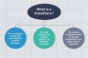 Image result for Subsidiary Company Examples