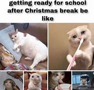 Image result for Funny Christmas Break Meme