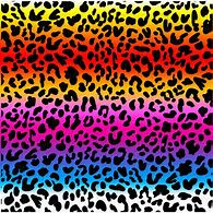 Image result for Rainbow Leopard Wallpaper